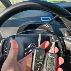 IMG-20251124-WA0004 (1)